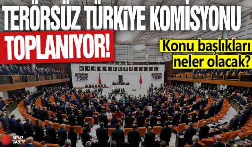 Milli Dayanışma, Kardeşlik Ve Demokrasi Komisyonu Başkanlığına görüşlerimizi iletebilmek için talepte bulunduk